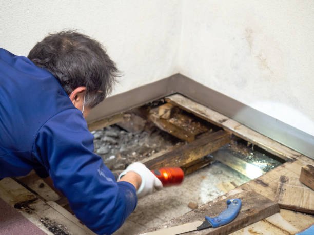 Best HVAC Mold Remediation in Poquoson, VA