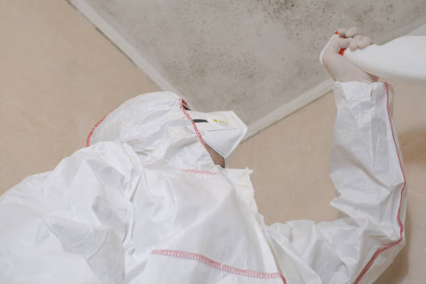 Best Commercial Mold Remediation in Poquoson, VA