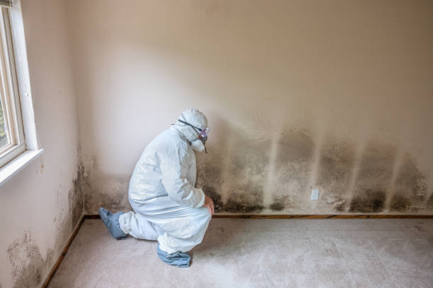 Poquoson, VA Mold Remediation Company